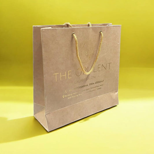 Paper Bag (8.5x3x9")